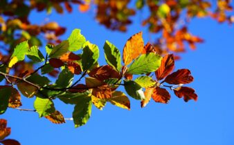 le ricette di stagione in ottobre